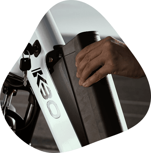 Assembly & Setup
